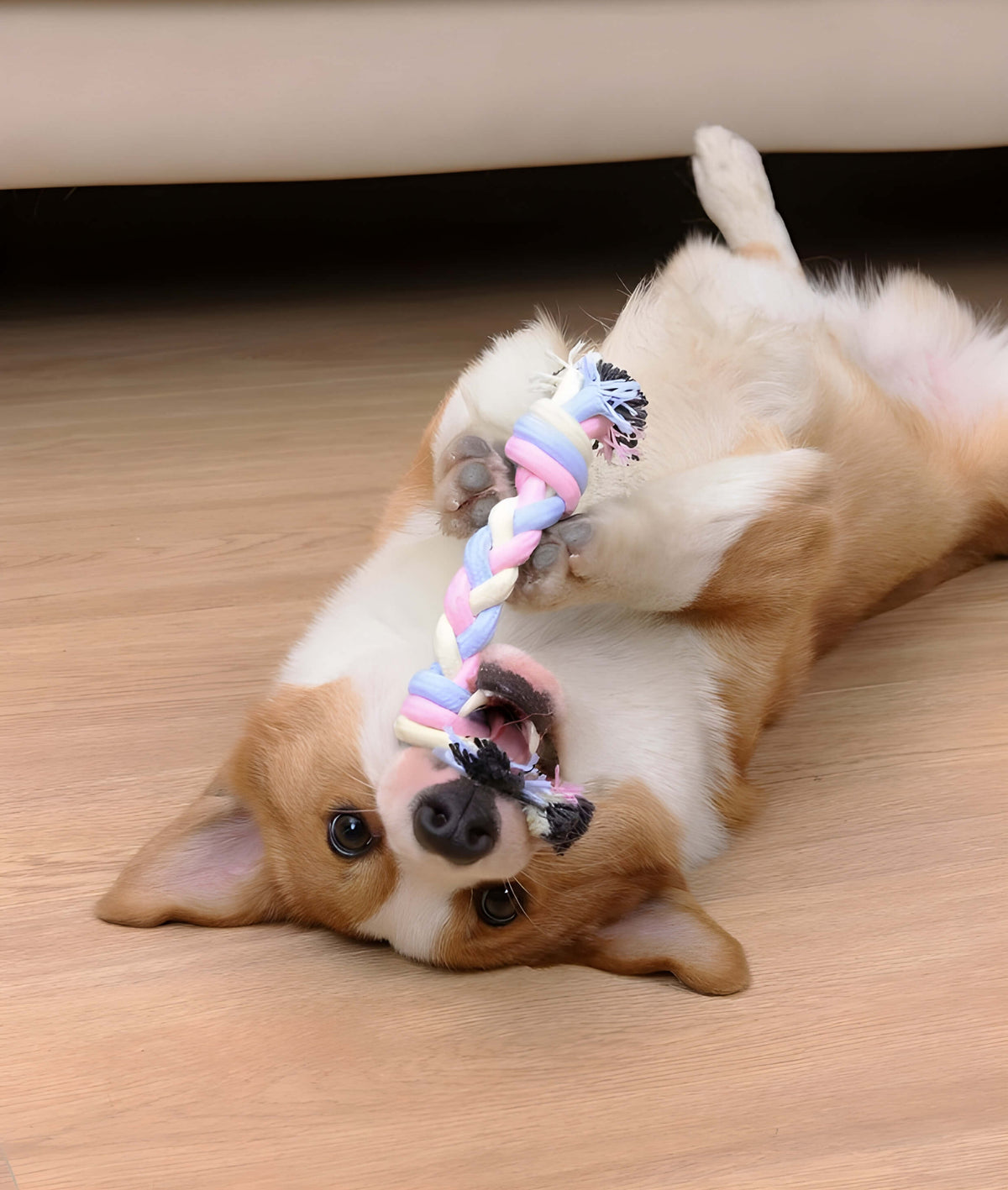 Conjunto de Juguetes de Cuerda Súper Resistentes para Mascotas