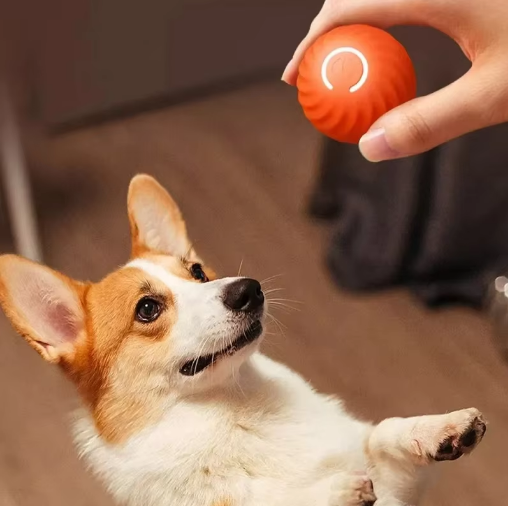 PlayBall Pro -  Bola Interactiva para Perros y Gatos