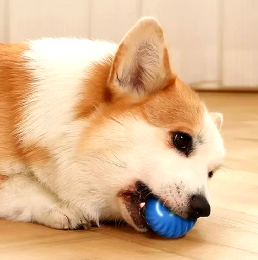 PlayBall Pro -  Bola Interactiva para Perros y Gatos