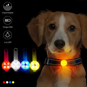 PetGlow SafeLight - Colgante LED Parpadeante para Perros y Gatos