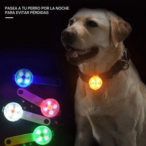 PetGlow SafeLight - Colgante LED Parpadeante para Perros y Gatos