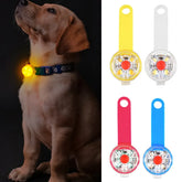 PetGlow SafeLight - Colgante LED Parpadeante para Perros y Gatos