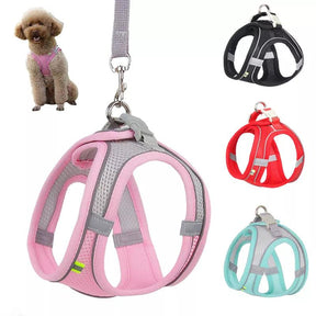 Collar Ajustable para Mascotas